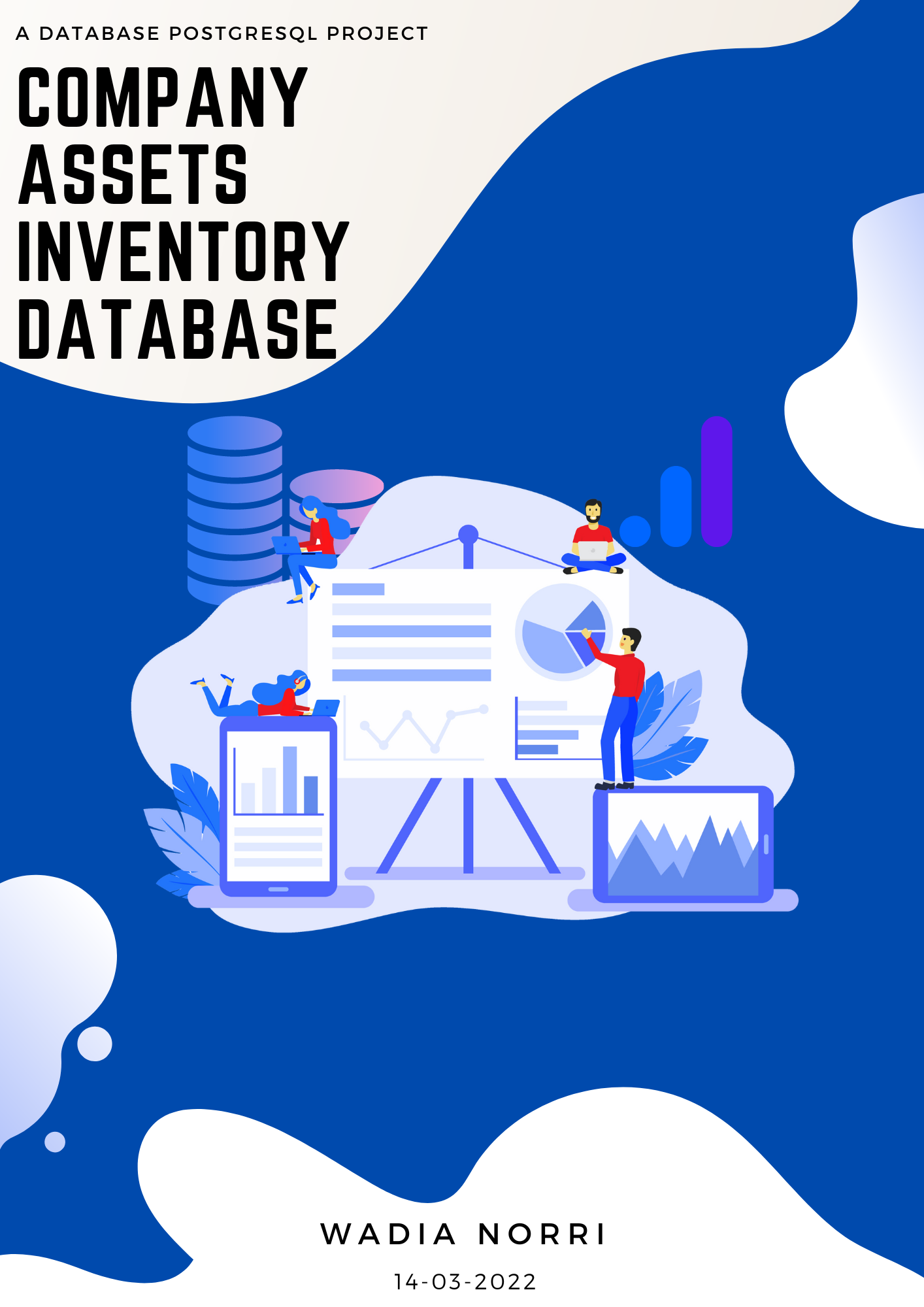 sql postgresql project company assets inventory management database