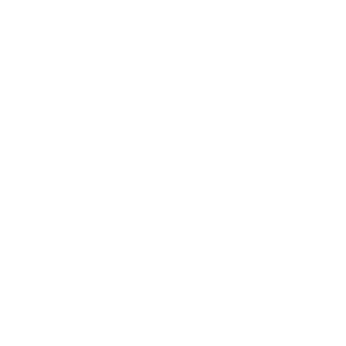 wadia norri logo